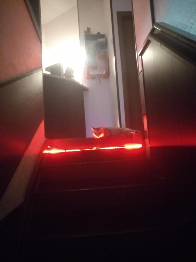 Sakura Inn Fergana Kültér fotó