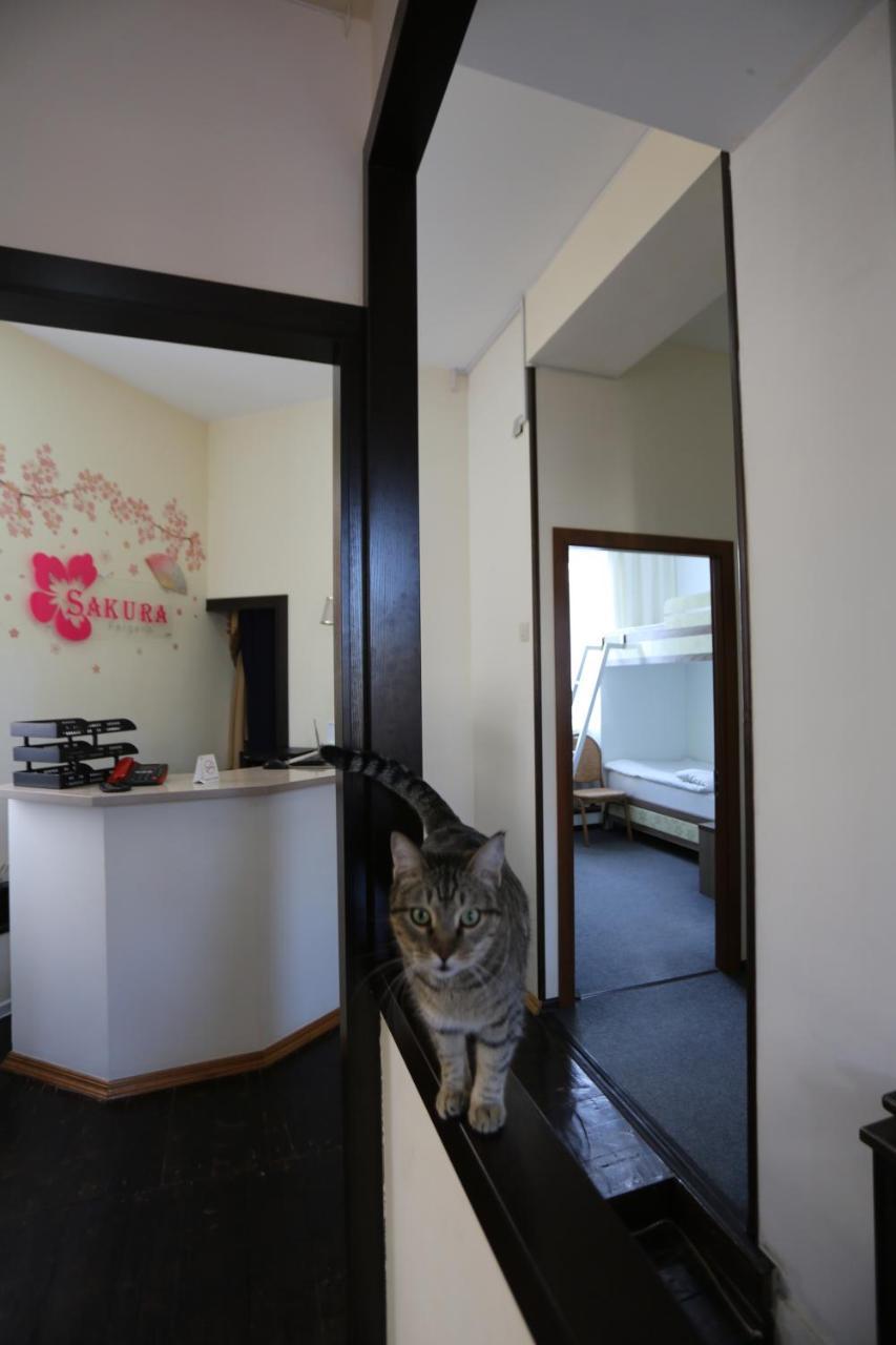 Sakura Inn Fergana Kültér fotó